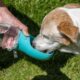 Portable Dog Drinking Water Bottles