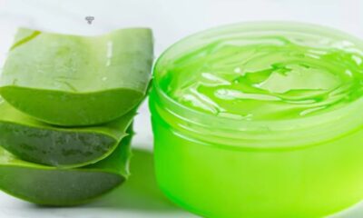 Understanding the Deep Roots of Gel Ooru Culture