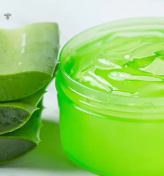 Understanding the Deep Roots of Gel Ooru Culture