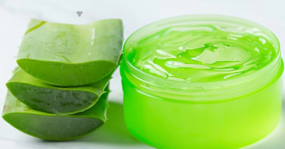 Understanding the Deep Roots of Gel Ooru Culture