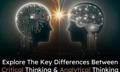 Unlocking the Potential of plicabig.com: A Comprehensive Insight